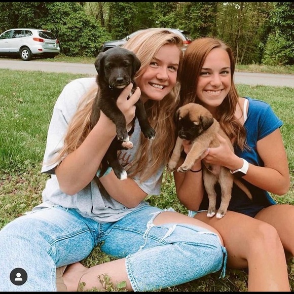 Meet your Posher, Stephanie - Picture 5 of 6